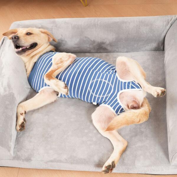 大型犬 術後服 迷彩 ボーダー XL XXL XXXL |  | 07