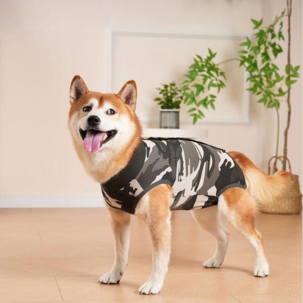 大型犬 術後服 迷彩 ボーダー XL XXL XXXL |  | 05