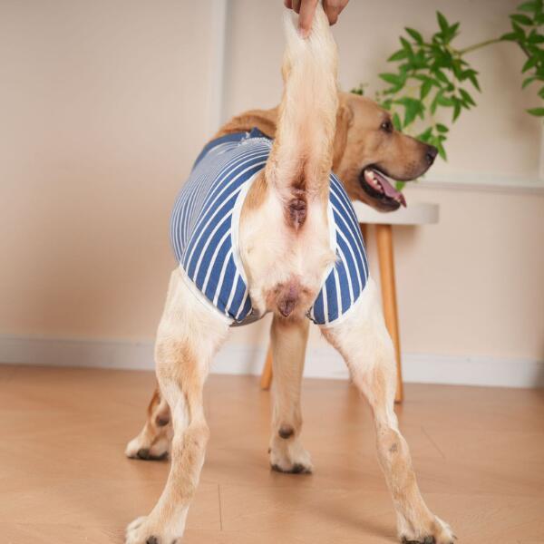 大型犬 術後服 迷彩 ボーダー XL XXL XXXL |  | 09