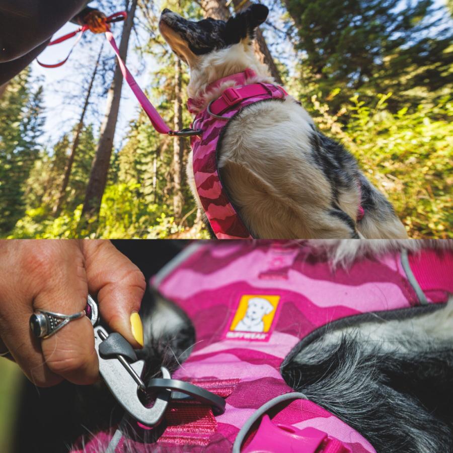 ラフウェア フロントレンジハーネス 小型犬 中型犬 大型犬 犬