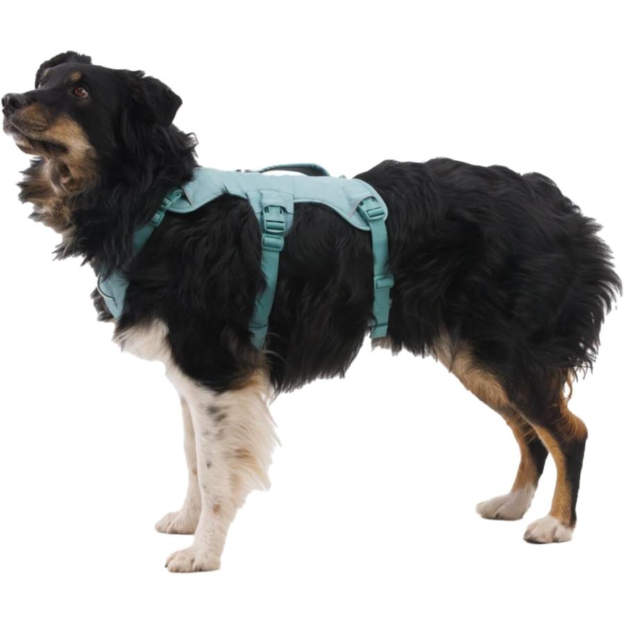 ラフウェア ウェブマスターハーネス SS25 小型犬 中型犬 大型犬 犬
