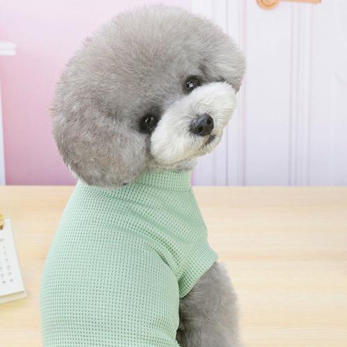 最安値挑戦 犬 服 犬の服 ドッグウェア おしゃれ Tシャツ カットソー 犬服 洋服 小型犬 プチプラ Discoversvg Com