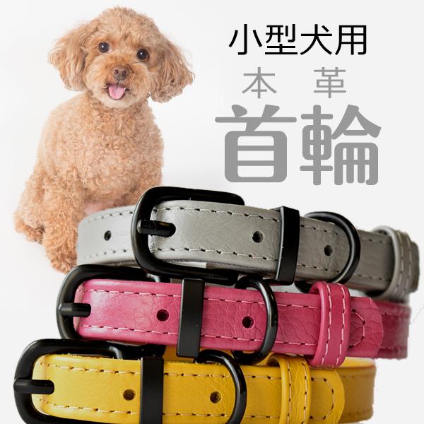 犬用首輪 犬 首輪 革 小型犬 本革 おしゃれ カラフル Collar001 ペット用品 Shizuku 通販 Yahoo ショッピング