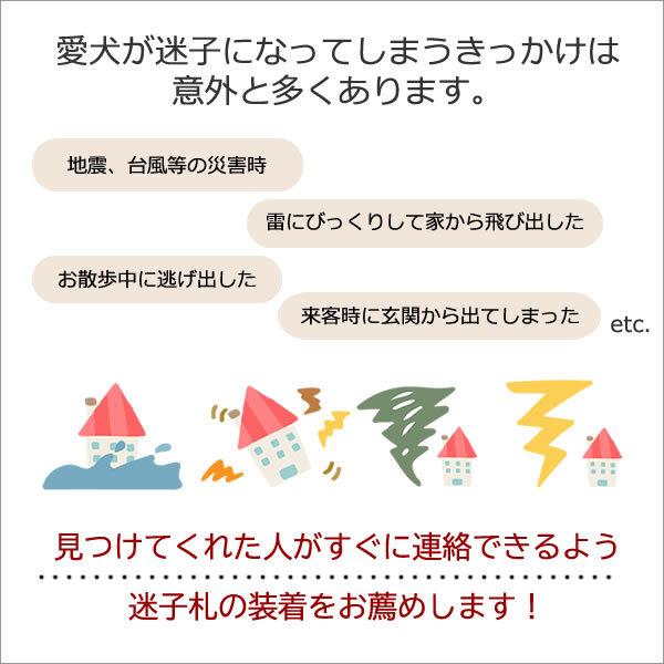 迷子札 犬 鑑札入れ ネームプレート 名札 IDタグ 革 ネームタグ 本革 鑑札ケース 狂犬病 ペット 名札 名入れ 刻印無料 お名前 電話番号 かわいい おしゃれ｜pet-shizuku｜08