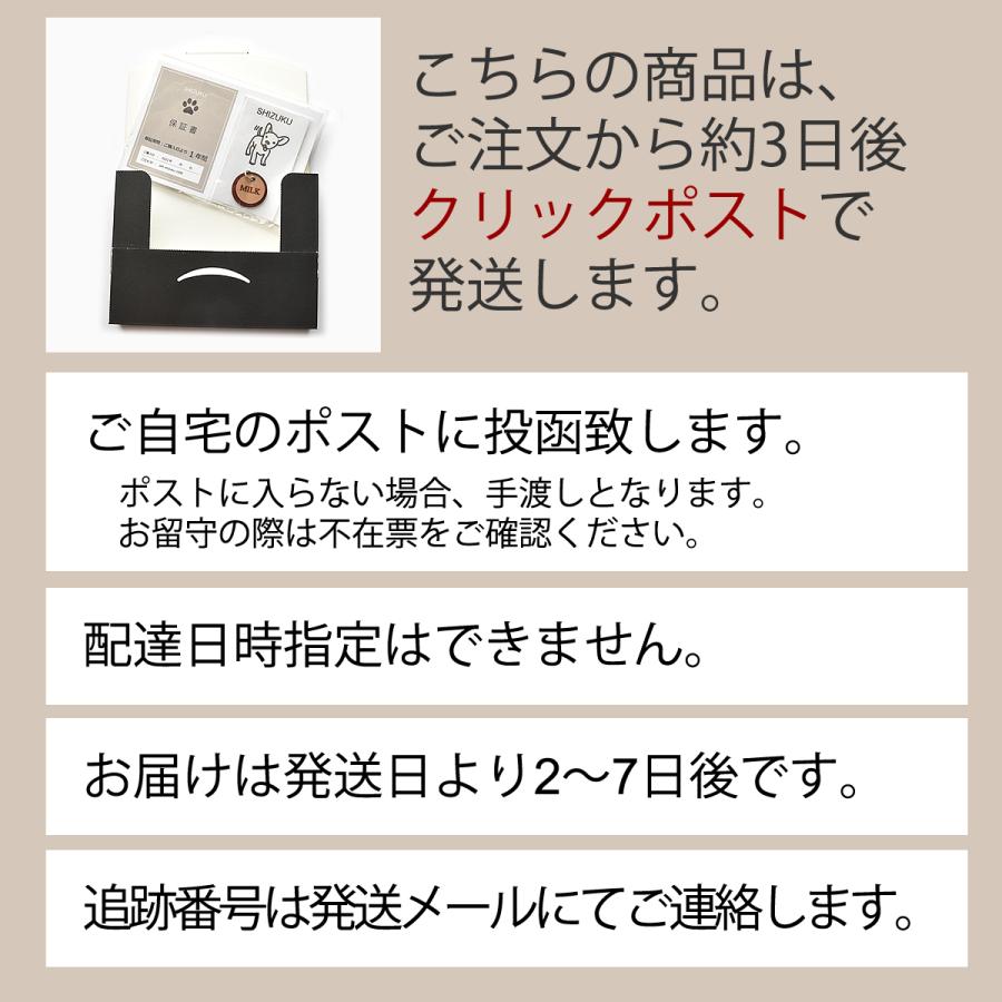 迷子札 アクリル 軽い 犬 猫 おしゃれ ネームタグ ペット ネーム