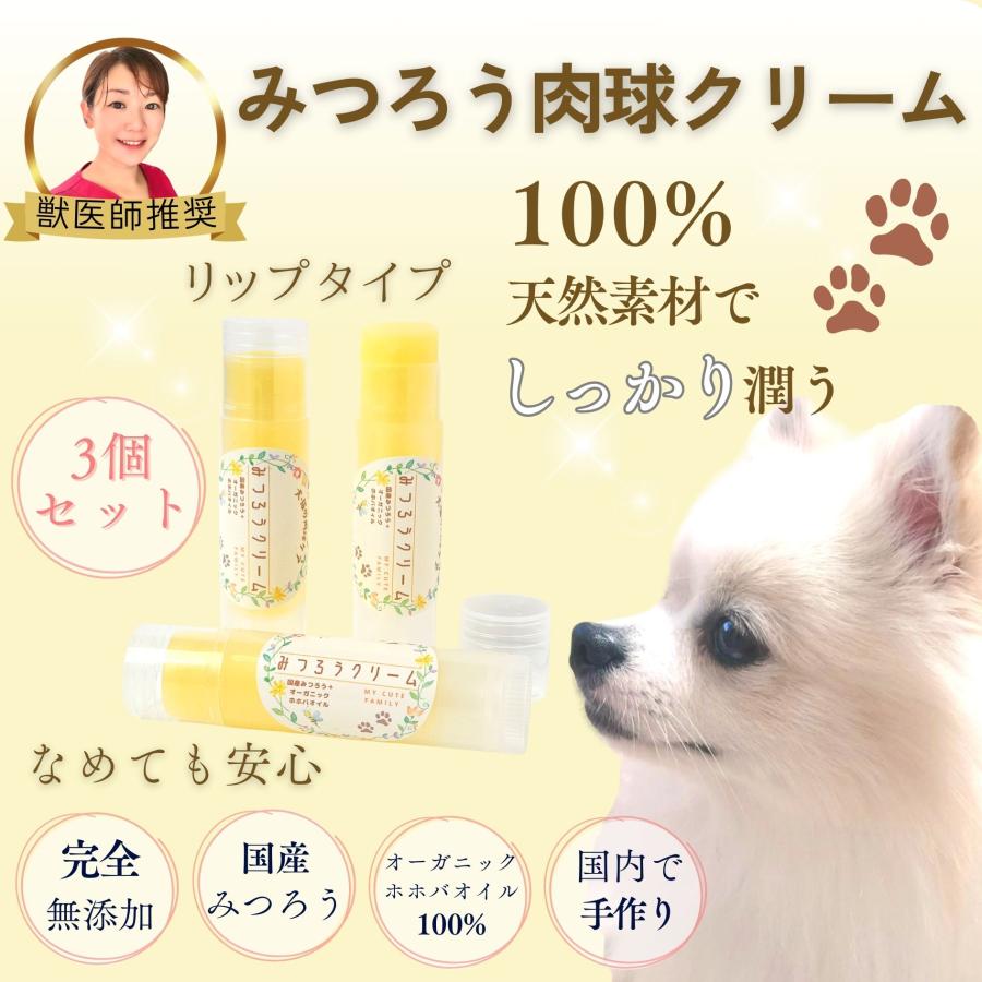 MEOVV 1stEP jellypaw 肉球 特典トレカ 5枚セット