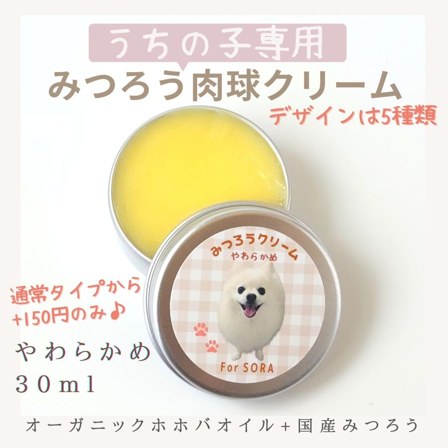 獣医師推奨 やわらかめ うちの子専用 みつろう肉球クリーム 犬猫用