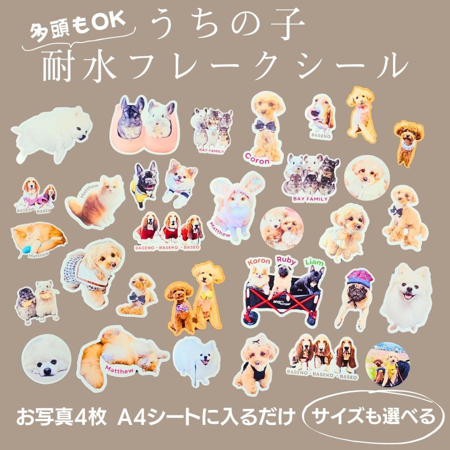 うちの子耐水フレークシール A4に入るだけ! 写真4枚 自由に
