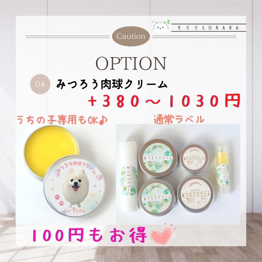 セミオーダープチ缶 My Cute Family うちの子おやつ缶 写真入り