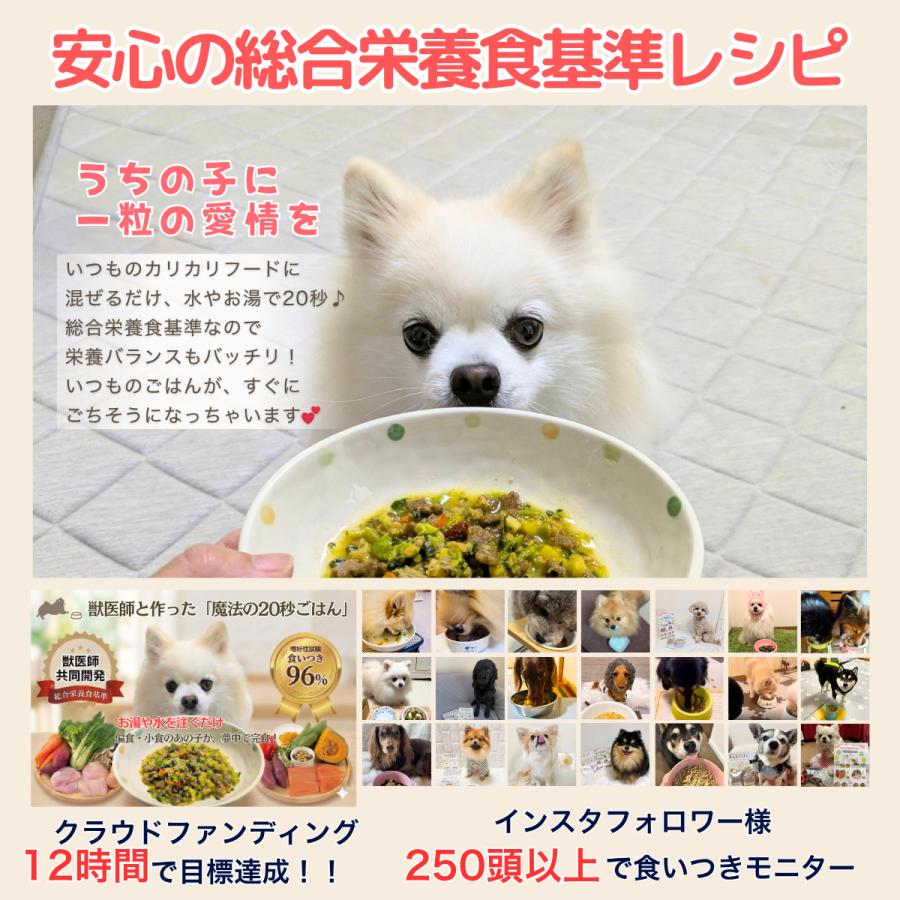ドッグフード sora そららのるるる お得な12個 サーモン・チキン 手作りフリーズドライ犬