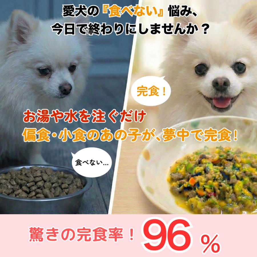 初回クーポンあり そららのるるる 選べる6個 サーモン・チキン 手作り