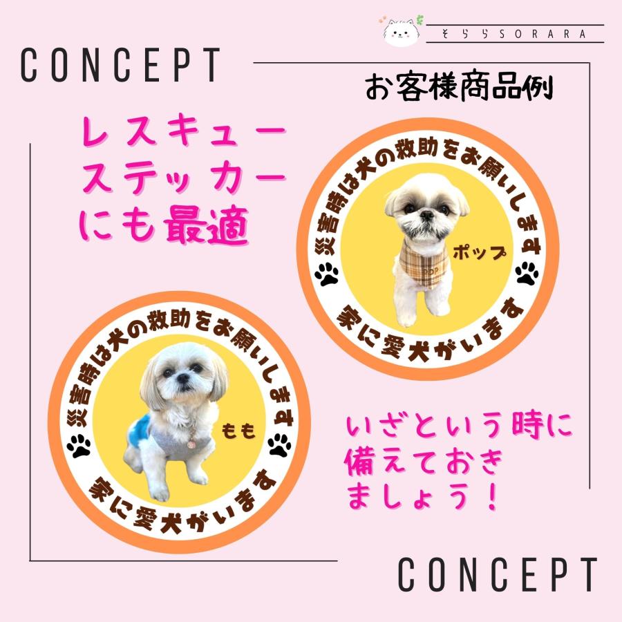 デハラユキノリ　とさ犬太　ステッカー、カード付き とさ犬太miniストラップ | TOYTOYTOY