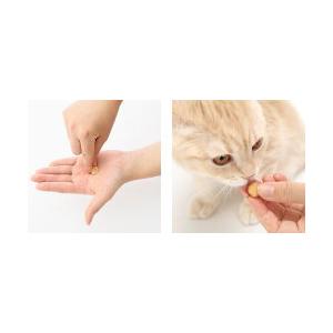 【送料無料 定形郵便物】メディボール 猫用 チーズ味(15個入) |  | 01