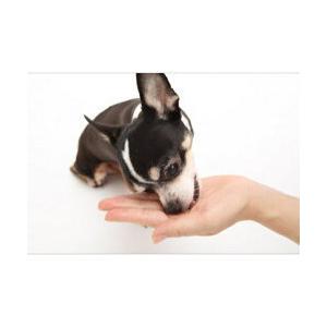 メディボール 犬用 ミルク味(15個入)×3個 |  | 01