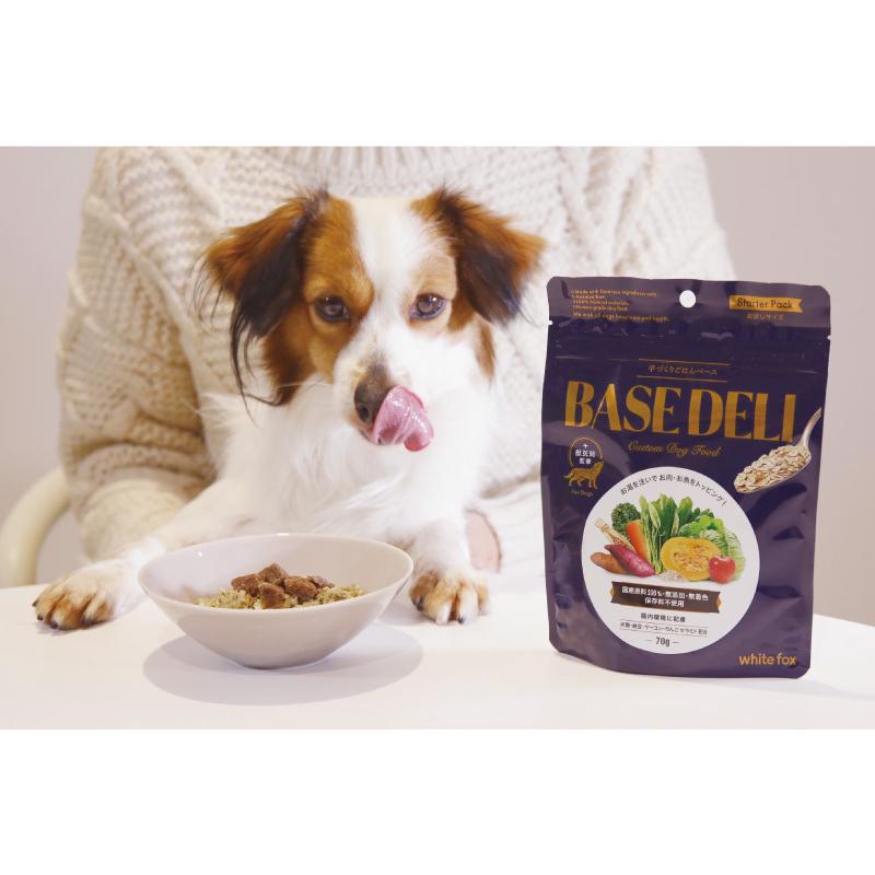 ペットフード 愛犬用 手づくりごはんベース BASE DELI 500g : ペット