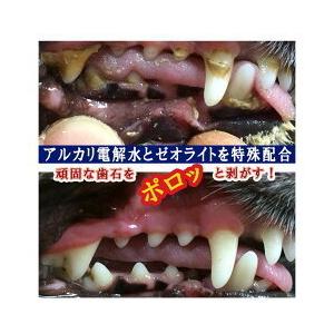 犬 歯石除去 マジック ゼオ プロ 1セット 犬 猫 歯磨き 歯みがき粉 ペースト 歯ブラシ 玩具 歯石取り 器具 歯周病菌 デンタルケア 1 ペットスタジオヤフーショップ 通販 Yahoo ショッピング