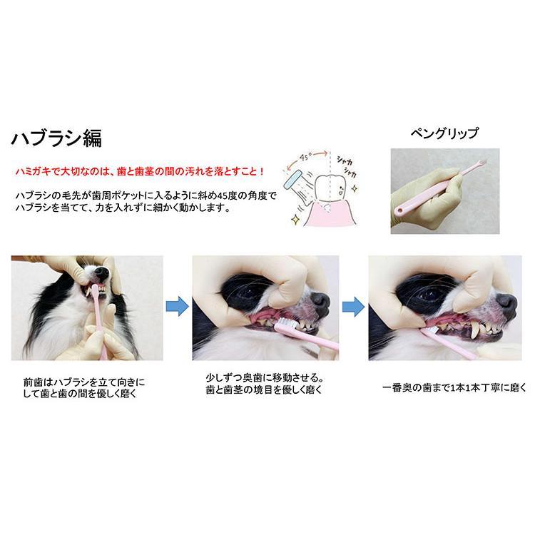 オープニングセール】 歯石取り スケーラー 犬 猫 ペット用 歯ブラシ 歯周病 虫歯予防 口内ケア