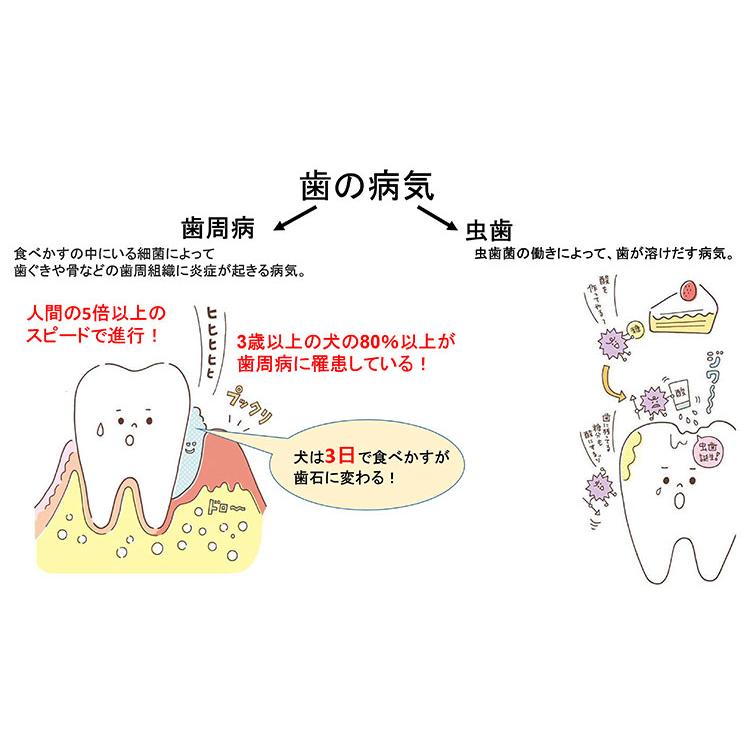 犬 歯石除去 マジックゼオ デイリー 40cc 犬 猫 歯石 歯垢 歯磨き粉 ジェル状 簡単 口臭 歯周病予防 歯周病菌 デンタルケア 国産無添加 ペットスタジオヤフーショップ 通販 Yahoo ショッピング