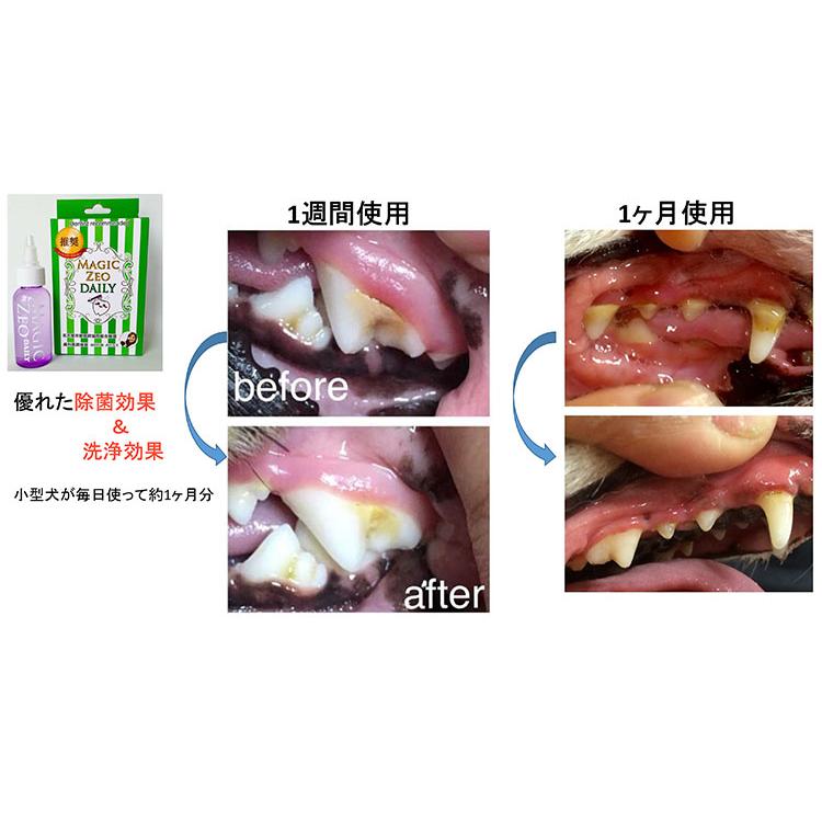 犬 猫 歯の黄ばみ 歯石 除去 歯磨き Edog Japan マジック ゼオ デイリー 40cc ペットスタジオヤフーショップ 通販 Yahoo ショッピング
