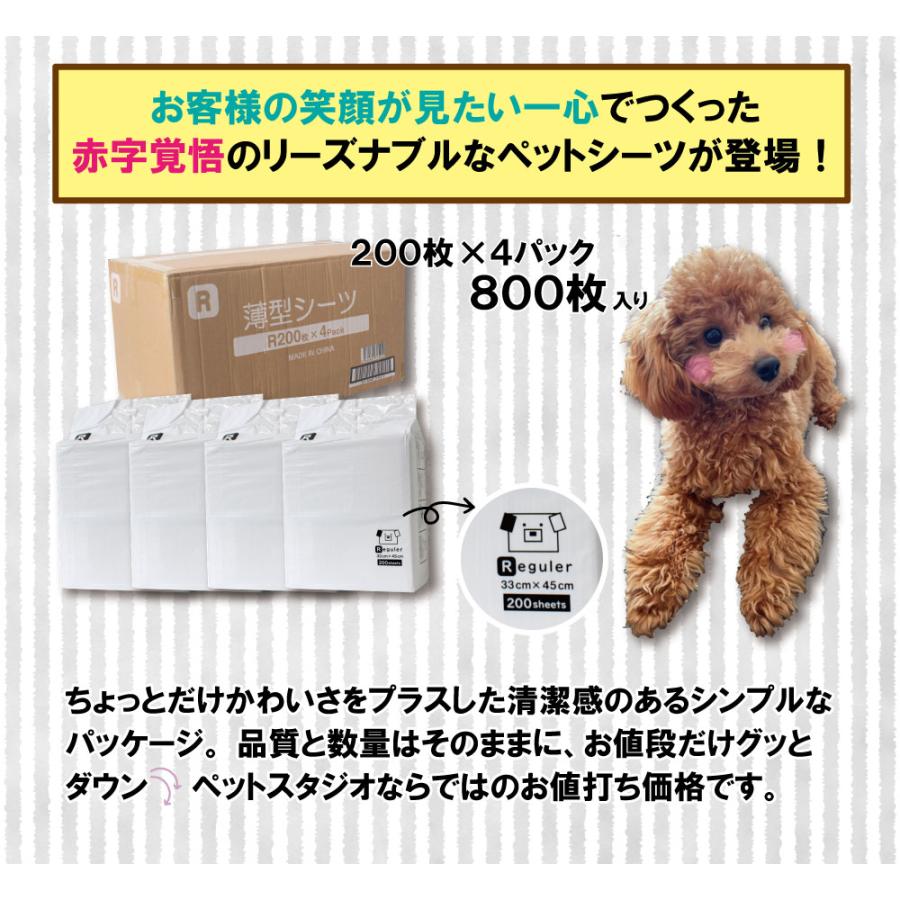 ペットシーツ レギュラー 800枚 超薄型 トイレシート ペットシート