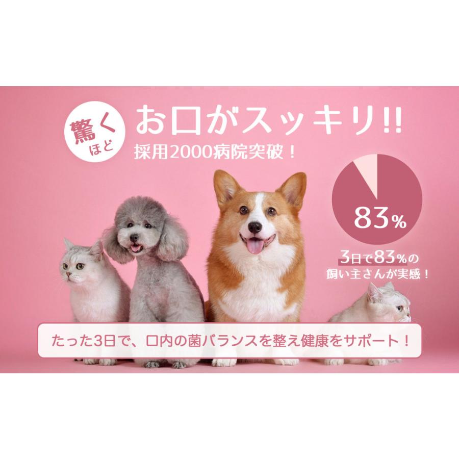 プロバイオ デンタルPET 粉末タイプ 9.8g ドッグフード サプリメント 獣医師推奨 口腔善玉菌 オーラルケア｜pet-studio｜04