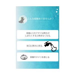 セラスト ビーミーニー bee mee nee (改水セラミック触媒)×愛犬用