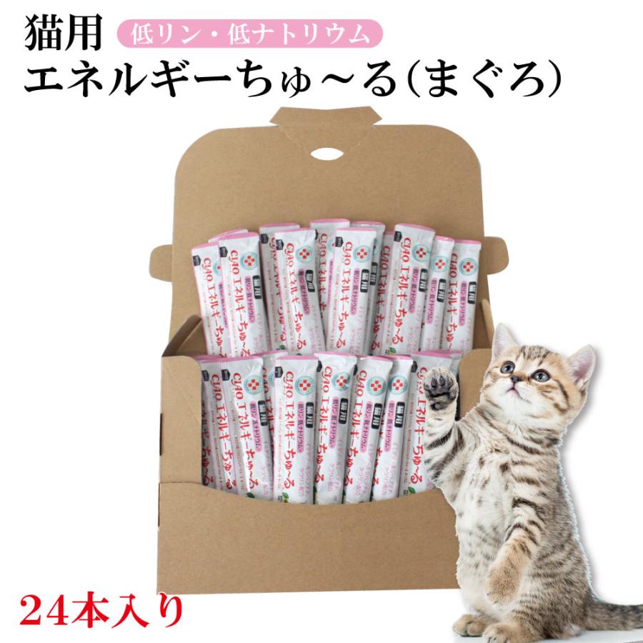 CIAO猫用エネルギーちゅーる　低リン・低ナトリウム(14g×50本)＋43本 動物病院専用 CIAO 猫用 エネルギーちゅ〜る 低リン低ナトリウム