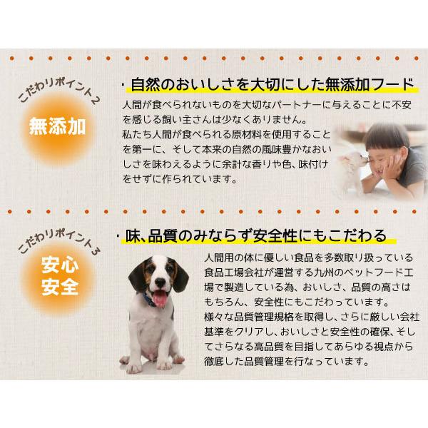 ドッグフード 無添加 国産 アニマル・ワン 犬の雑穀ごはん チキン