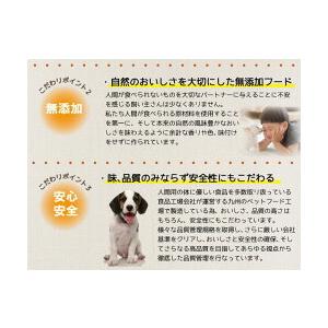 アニマルワン 犬の雑穀ごはん ライト＆シニア用 800g 犬用自然食・養生