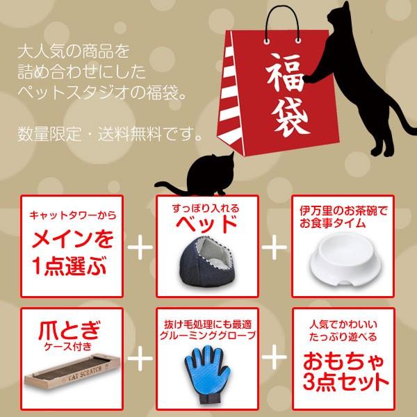数量限定 送料無料 19 キャットタワー初夢box 福袋1万円 猫用品 19新春福袋 キャットタワー 猫 Cat E Fuku ペットスタジオヤフーショップ 通販 Yahoo ショッピング