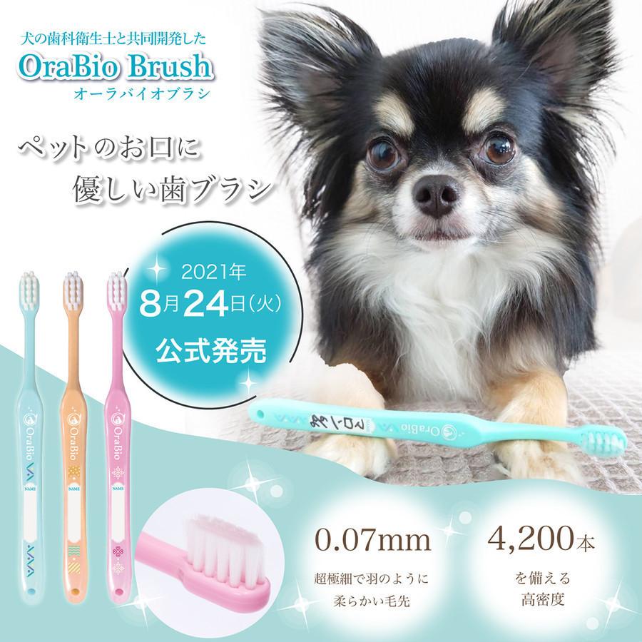 お口に優しい歯ブラシ オーラバイオブラシ（歯科衛生士推奨）選べる3本と歯石予防ケア オーラルピース フォー ペット (80g)セット |  | 01