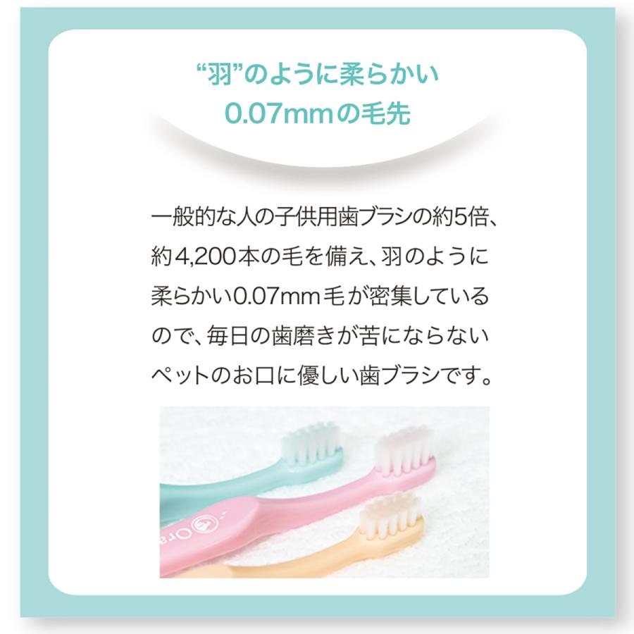 お口に優しい歯ブラシ オーラバイオブラシ（歯科衛生士推奨）選べる3本と歯石予防ケア オーラルピース フォー ペット (80g)セット |  | 02