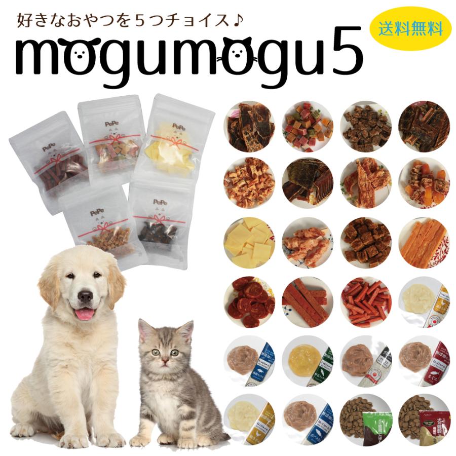 犬　おやつ&グッズ　まとめ売り nowa cube 犬用サプリおやつ 5種セット – ワンコnowa THE STORE