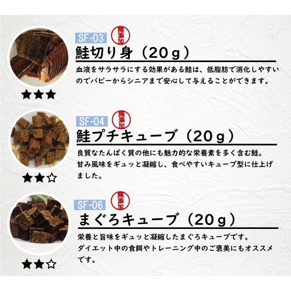 送料無料 選べる国産ペットのおやつ ミニパック5個セット おやつ