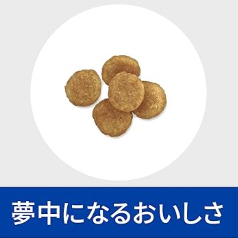 犬用 c/d シーディー マルチケア 小粒 3kg チキン 尿ケア ヒルズ