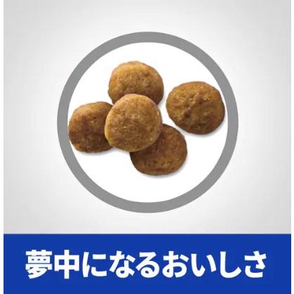 【2袋セット】オールスキンバリア 小粒 ドライ 1.35kg ヒルズ S2030-002F |  | 01