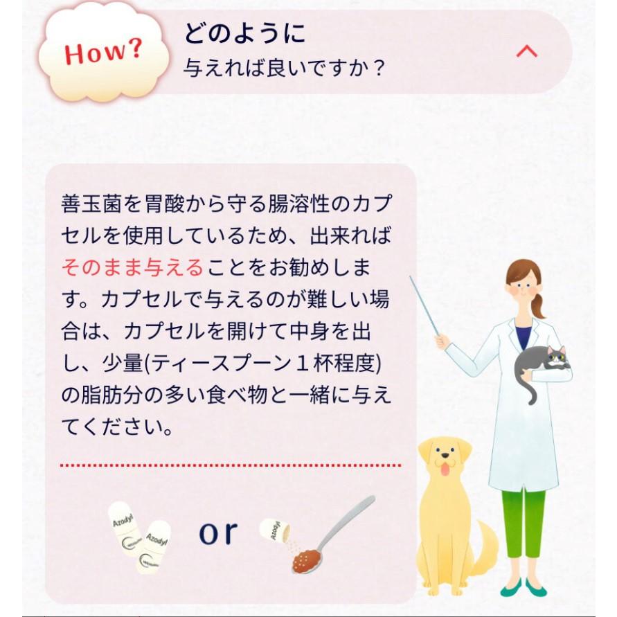 アゾディル 90cap 1本 犬猫用サプリメント S2024-001K : ペットサプリ