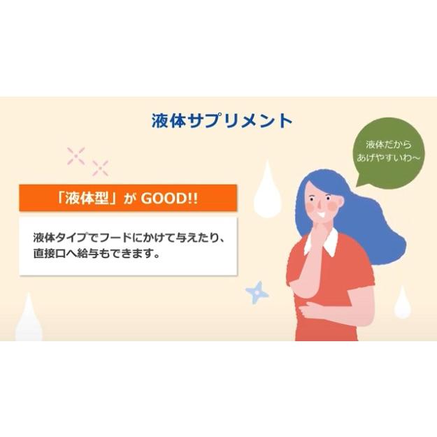 2027年6月期限】プロネフラ（60ml）犬猫用〈ビルバック〉S2079-001K
