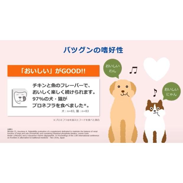 2027年6月期限】プロネフラ（60ml）犬猫用〈ビルバック〉S2079-001K