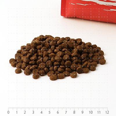 フィッシュ4ドッグ スーペリアアダルト 6kgの画像