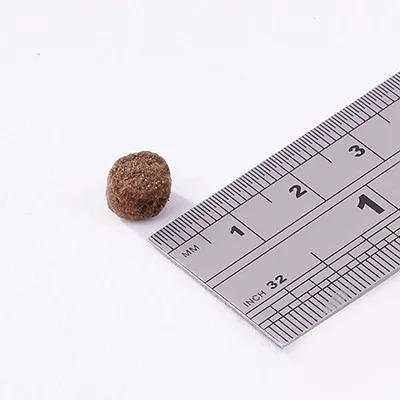 フィッシュ4 フィッシュ4ドッグ ファイネストサーモン シニア小粒 3kg