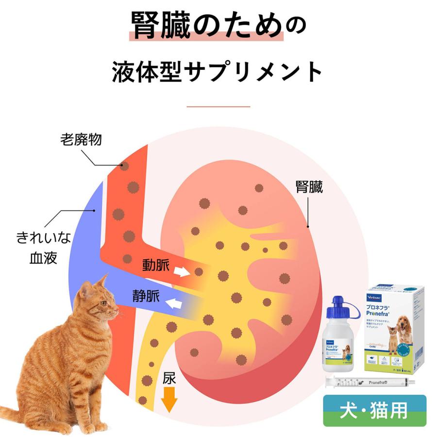 お試し価格「プロネフラ 犬猫用 60mL」同梱不可/三ビグ【0792