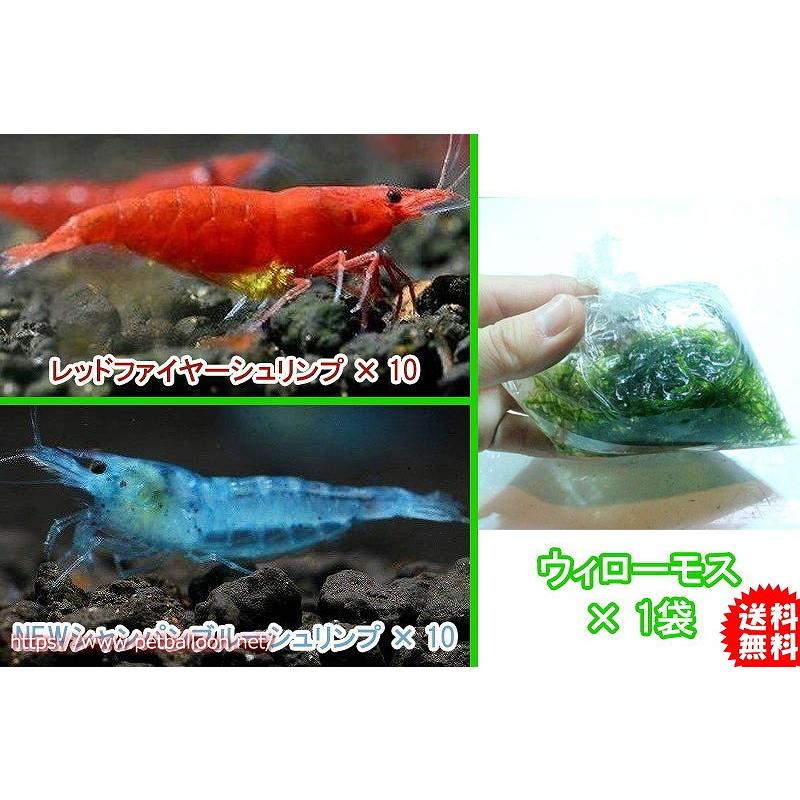 エビ】【通販】【シュリンプ】【20匹セット】レッド＆ブルーセット A 