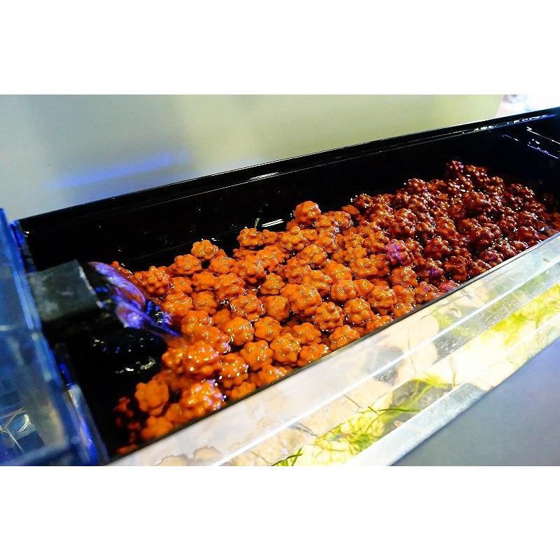 熱帯魚　炉材　9キロ　スーパーゼオセラ スーパーゼオセラ 20L 【淡水用】 : ペットバルーン ヤフー店 - 通販