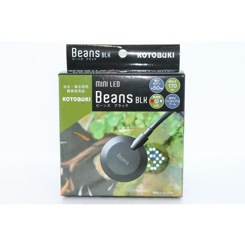 コトブキ Beans black(ビーンズ ブラック)【1個】(水草)｜petballoonshop