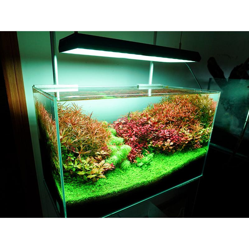 チヒロズ RGB VIVID2 ジャンク 楽天市場】chihiros vivid2の通販