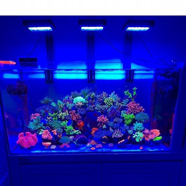 飼育用品・器具】Chihiros Aquatic Studio NOVA 1 for サンゴ・海水魚