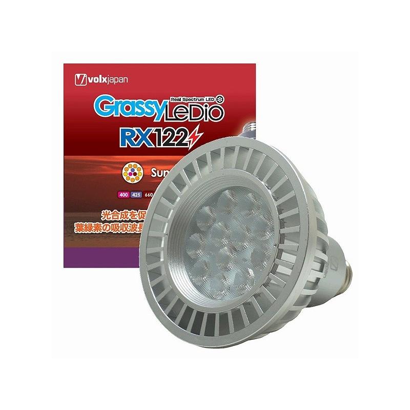 GrassyLeDioRX122 グラッシーレディオ RX122 サンセット(淡水海水用