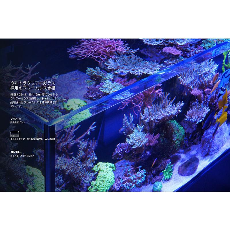お取り寄せ】【Red Sea】 Reefer G2＋ 170 ブラック : ペット
