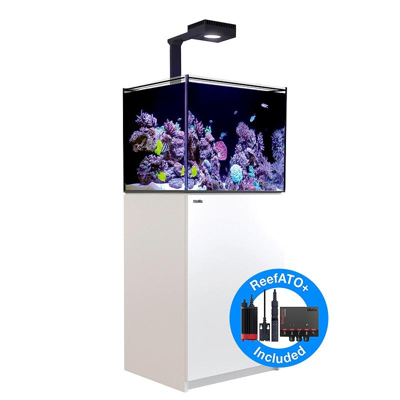お取り寄せ】【Red Sea】 Reefer G2＋DX 170 ホワイト : ペット